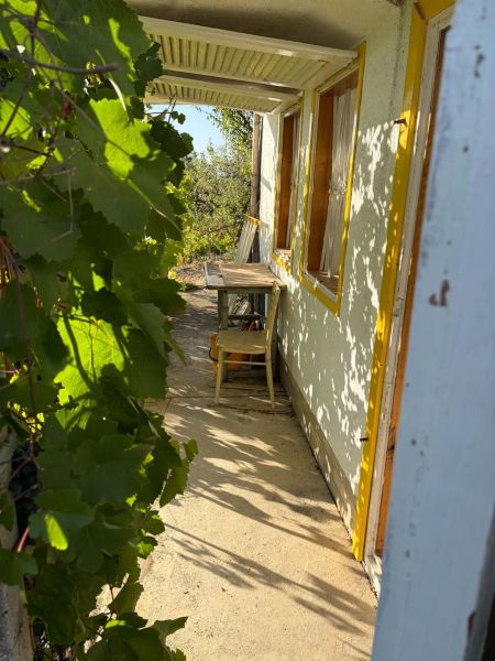 The veranda of the cottage in Banka with a wooden table surrounded by the greenery of grapevines.