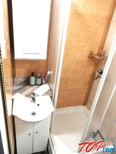 Bathroom with a sink and a shower in a studio apartment.