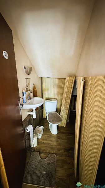 Bathroom with toilet and sink, floor with wood decor, family house.