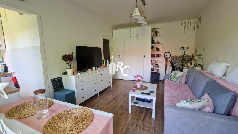 Living room in a one-bedroom apartment with a wood-patterned floor and cozy furnishings.