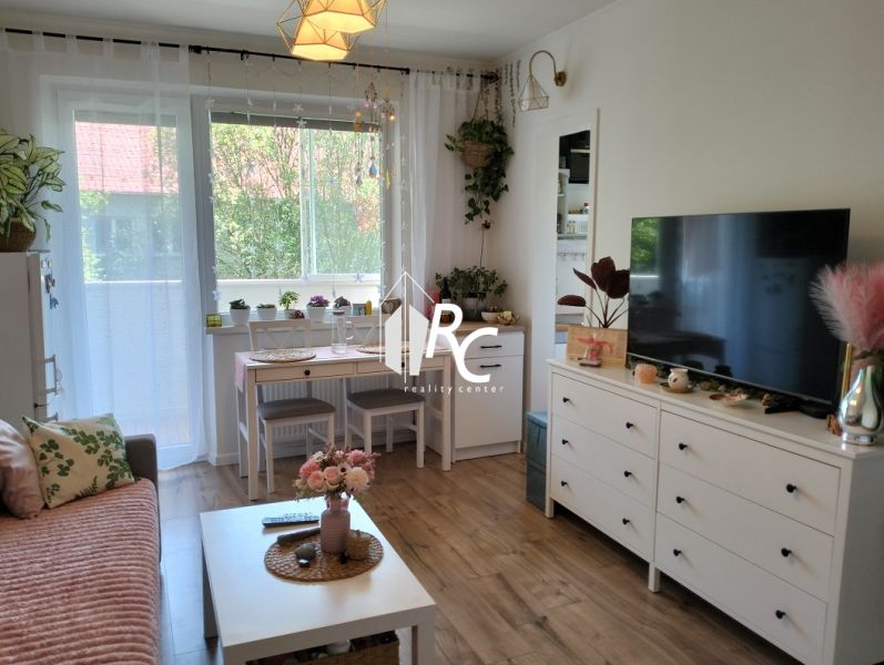 Living room in a studio apartment with wood-patterned flooring and white furniture.
