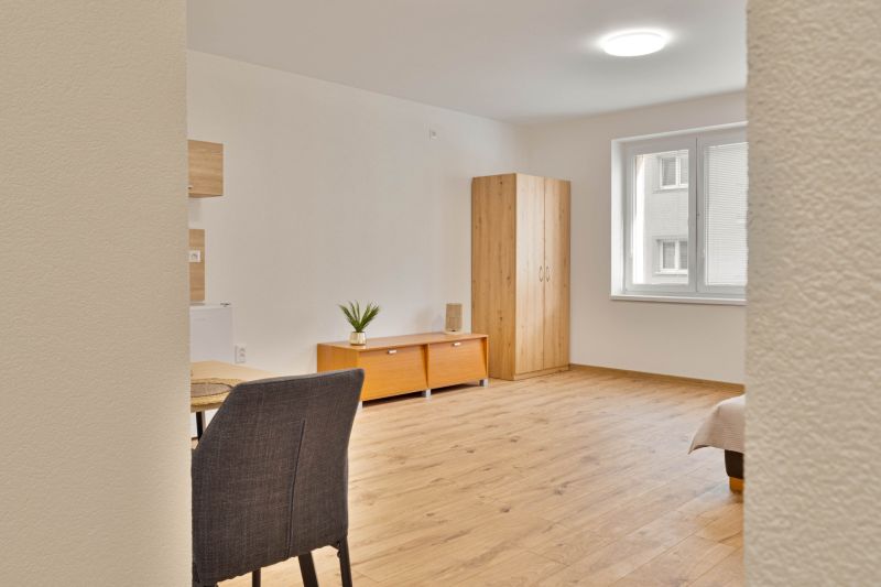 A studio apartment with a wood-patterned floor, a wardrobe, a window, a table, and two cabinets.