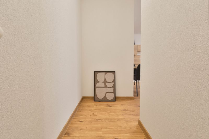 A hallway in a studio apartment with a wooden decor floor and a picture leaning against the wall.
