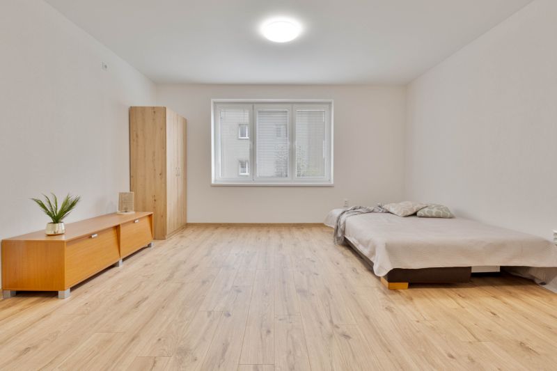 Studio apartment with wood-patterned flooring, a bed, and a cabinet, neutral colors.