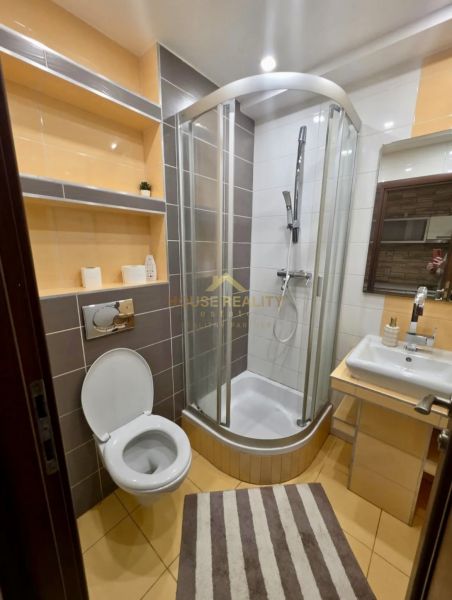 Bathroom with toilet, shower, sink, and shelves in a studio apartment.
