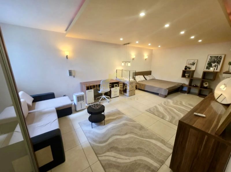 1-bedroom apartment with a bed, sofa, carpet, and lighting, flooring with a wooden decor.