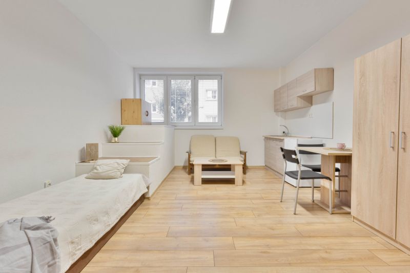 Studio apartment with wood-patterned flooring, a bed, a kitchenette, and furniture.