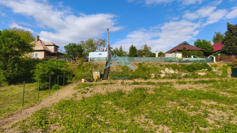 Greenery on recreational plots in Záhorce on Selešťany Street, with a view of the houses.