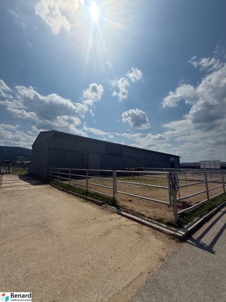 Building in Hniezdne, fenced area with horses, sunny sky, partly cloudy.