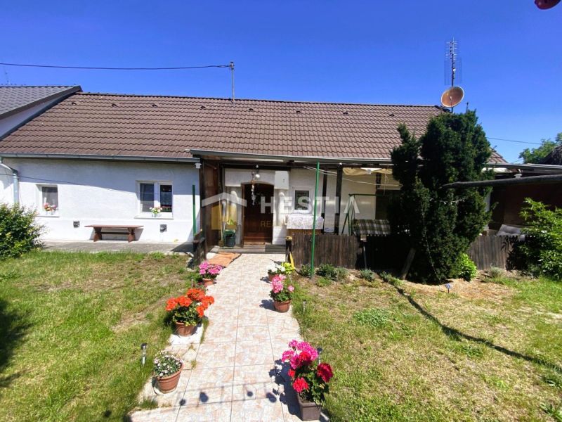 A family house in Borský Mikuláš with a garden and flowers in pots in front of the veranda.