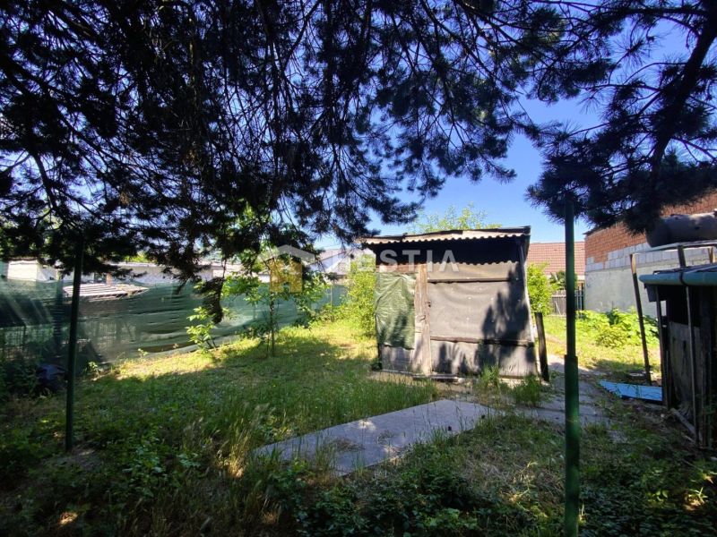A garden at a family house in Borský Mikuláš with a wooden structure and trees.