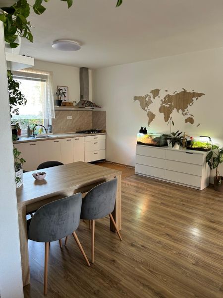 A kitchen in a 3-room apartment with a wooden decor floor, a table, and plants.