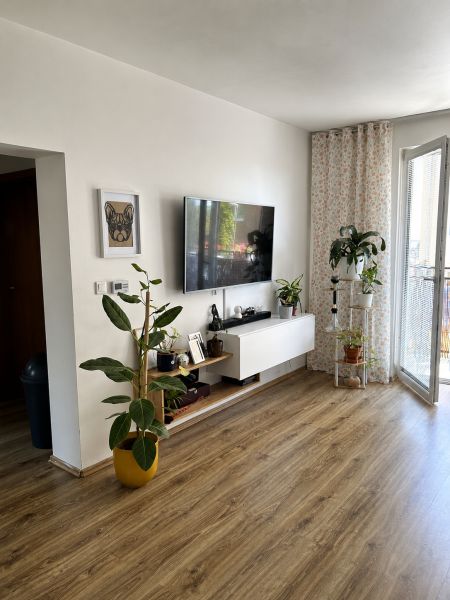 A room in a 3-room apartment with a wooden decor floor, a television, and plants.