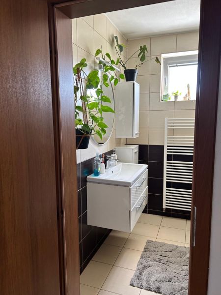 A bathroom in a 3-room apartment with tiles and green plants.