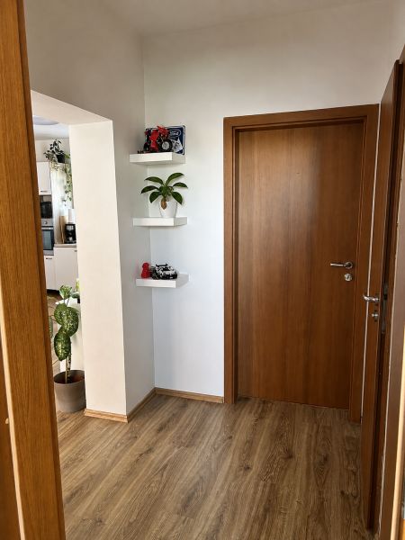 A hallway in a 3-room apartment with doors and flooring featuring a wood design.