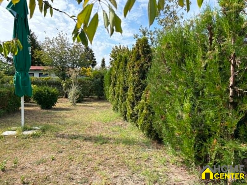 Gardens in Komárno with conifers and sandy grass, green umbrella on the side.