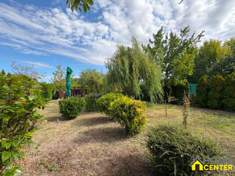 Gardens in Komárno with bushes, trees, and a green umbrella under a blue sky.