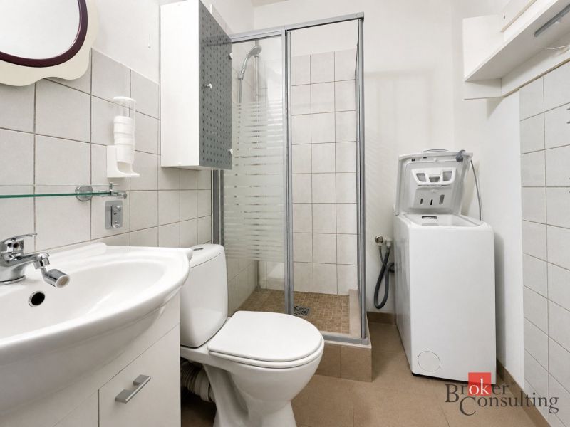 A bathroom in a studio apartment with a sink, shower, and washing machine.
