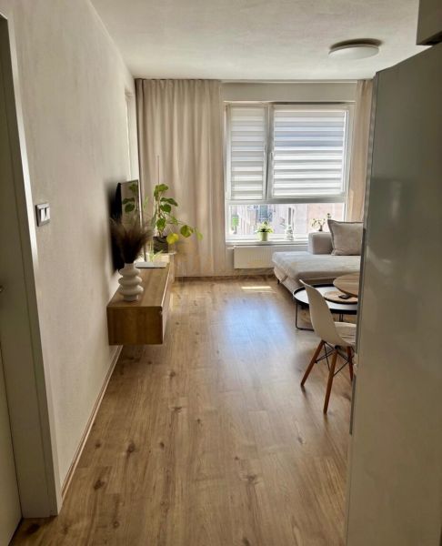 Living area in a two-room apartment with a wooden decor floor and a sofa.