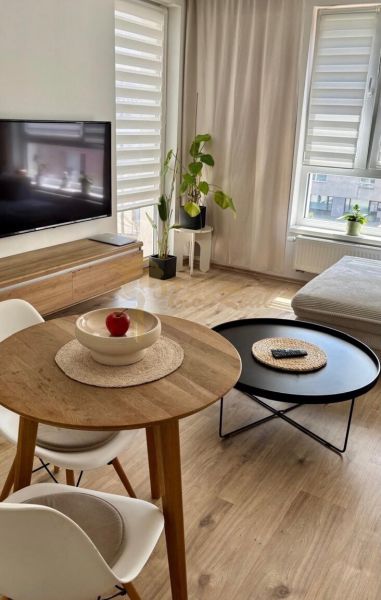 Bright living room in a 2-room apartment with a TV, window, and tables. Floor with wood decor.