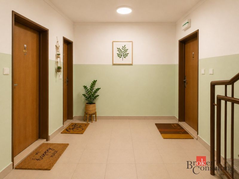 A hallway in a 2-room apartment with a plant, tiles, and decorations.