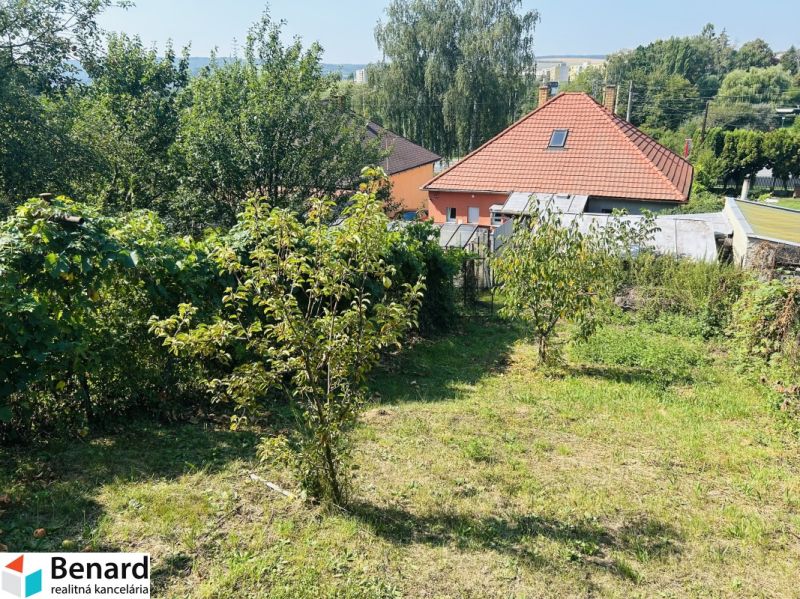 A garden at the family house on Sabinovska Street in Presov with fruit trees.