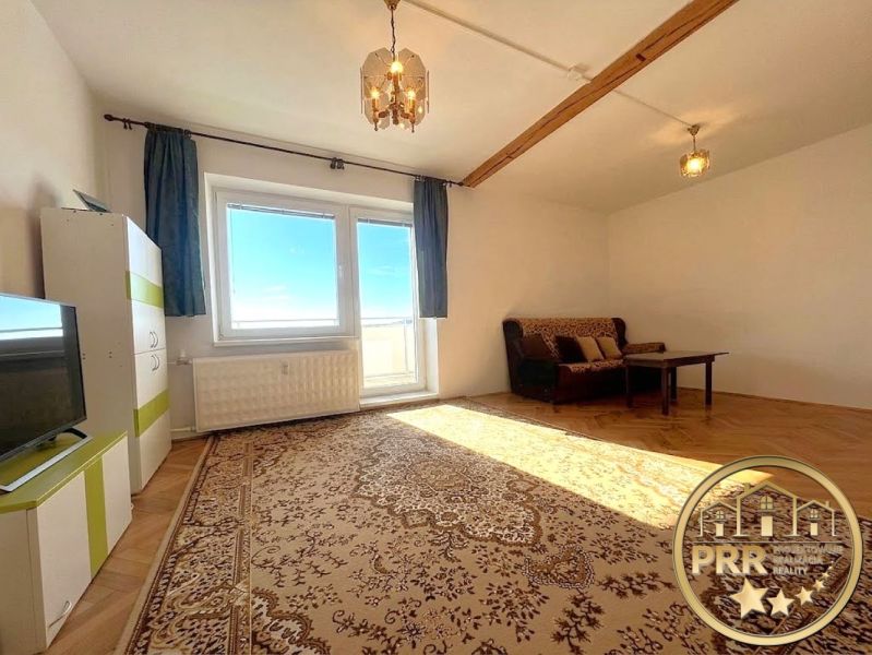Living room in a two-room apartment with a wooden decor floor and carpets.