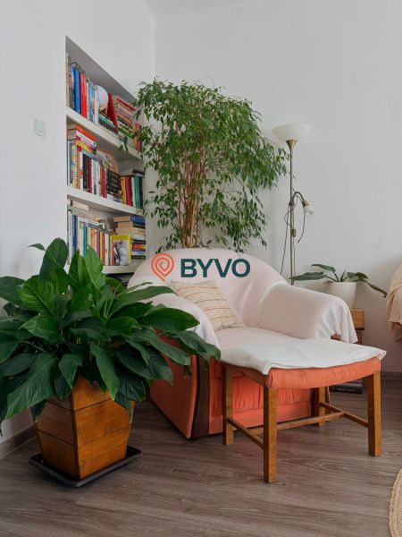 A comfortable chair by the bookshelf with plants, complemented by a wooden decor floor.