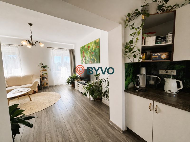 Living room in a two-room apartment with light, plants, and a wooden decor floor.