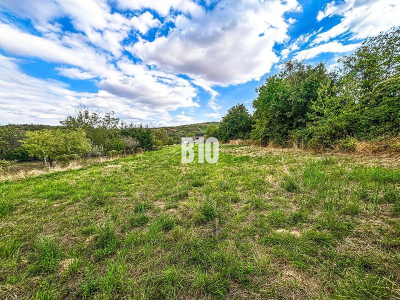 Lands - living in Kolíňany, a green meadow surrounded by trees and a blue sky.