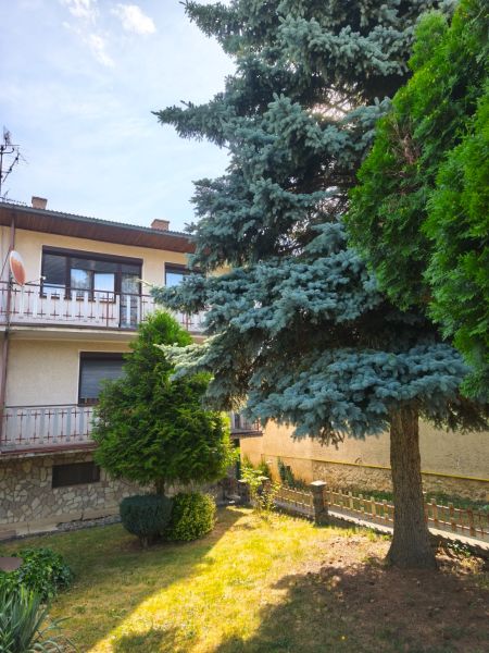 A family house in Jelenec with a balcony surrounded by greenery and coniferous trees.