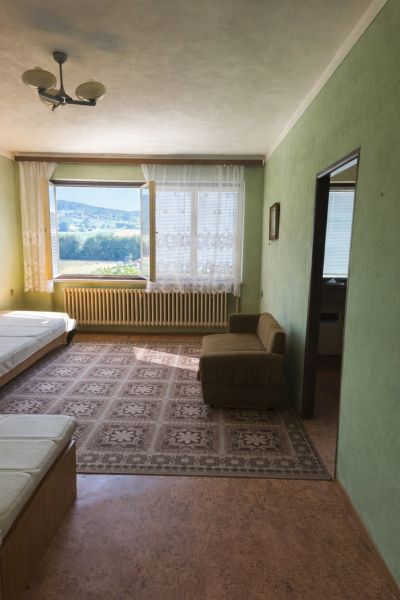 Interior of a family house with green walls, carpet, and a view from the window.