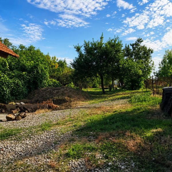 A garden at a family house in Šalgočka, with grass and fruit trees.