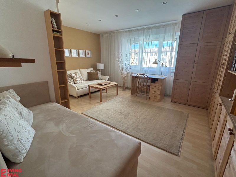 Living room in a studio apartment with a wood-patterned floor, a white sofa, and a desk.