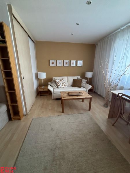 Living area of a studio apartment with a sofa, wooden table, and decorative elements.