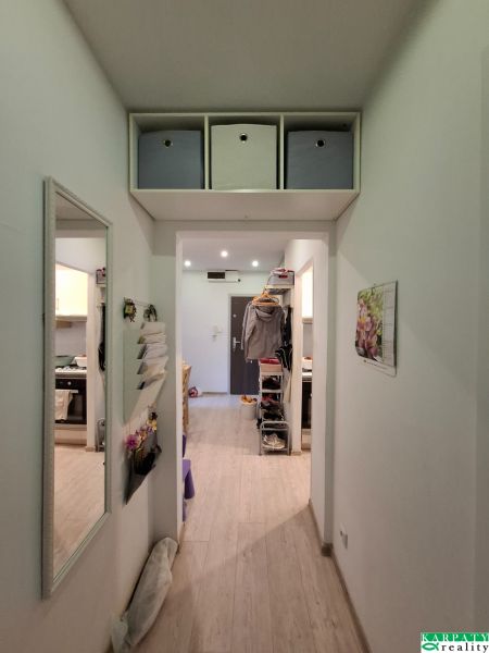 A hallway with a wooden decor floor in a 3-room apartment with storage boxes.