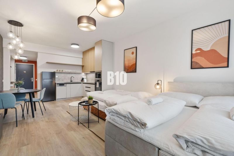 Stylish 1-room apartment with wood-patterned flooring and cozy furniture.