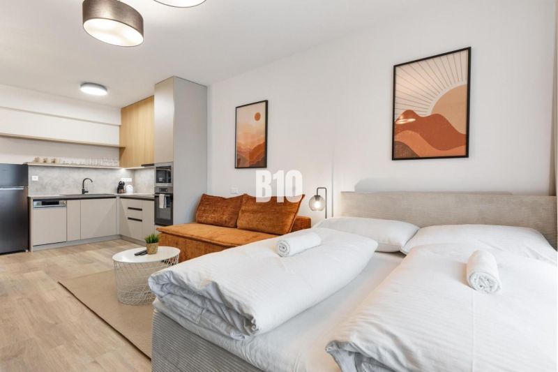Interior of a 1-bedroom apartment with wood-patterned flooring, kitchen, and bed.