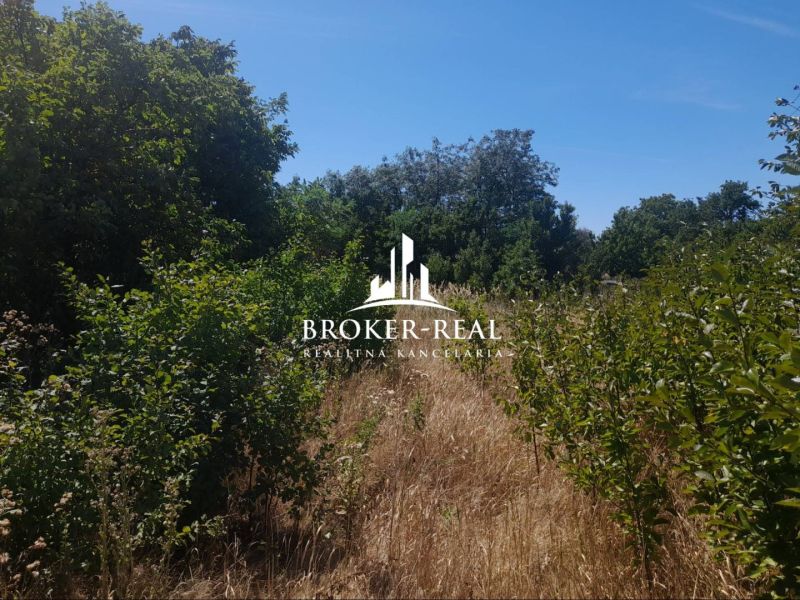 A plot in Csobád overgrown with grass and trees, suitable for a family house.