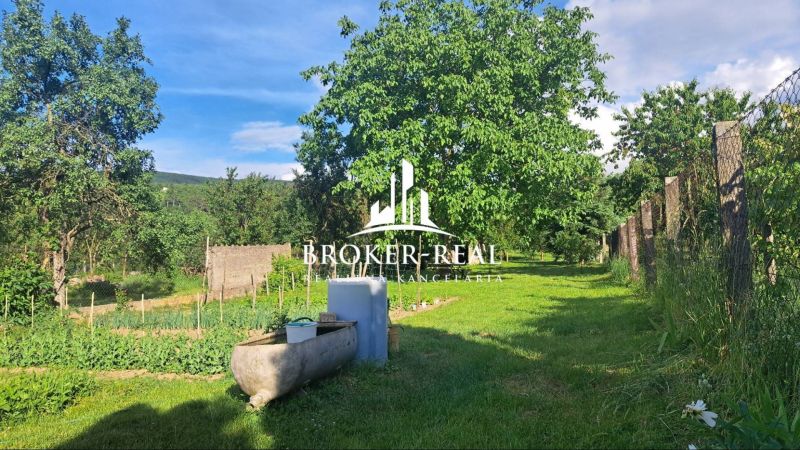 The garden of a family house in Gönc with plenty of greenery and mature trees.