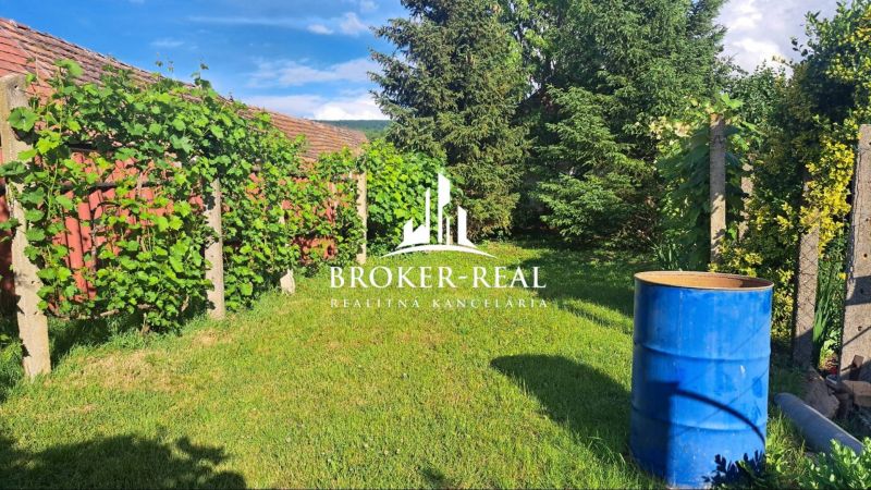 A garden at a family house in Gönc with grapevines and a blue barrel.
