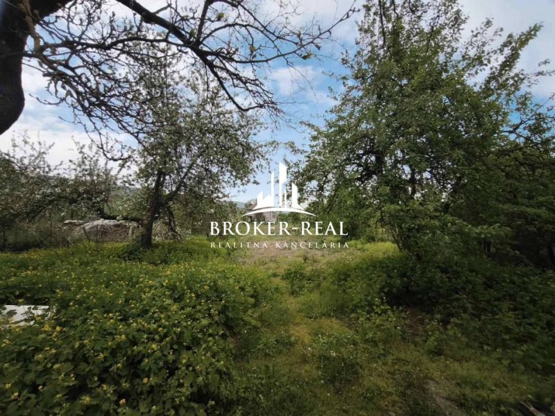 The garden at the family house in Bódvaszilas is surrounded by dense greenery and trees.