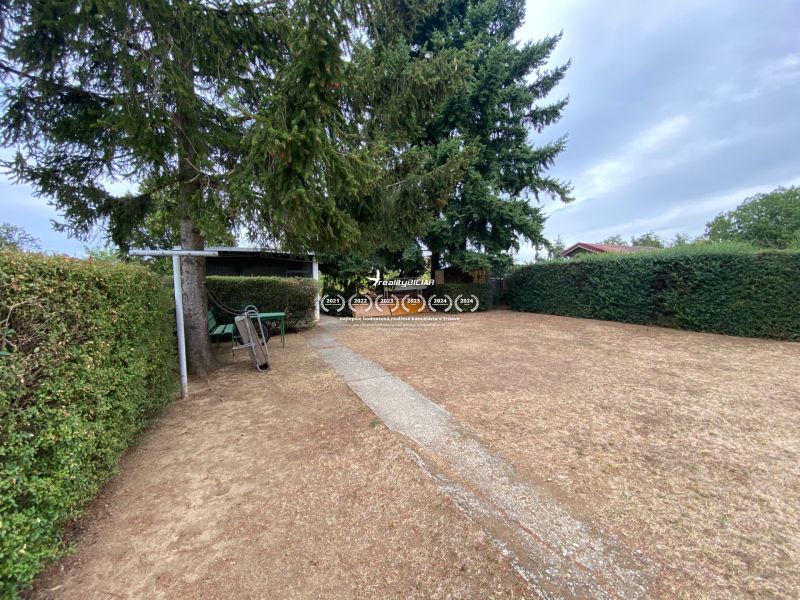 The garden at the family house on Zvončín Street in Zvončín, bordered by a hedge and trees.