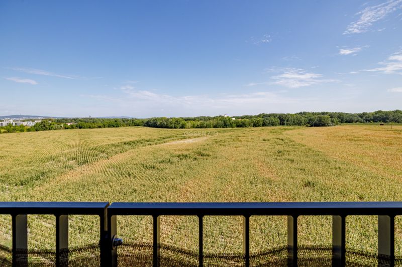 View from the balcony of a vast field near Bratislava in Petržalka on Fialová.