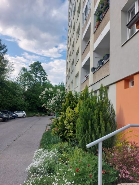 Apartment building on Internátna Street in Banská Bystrica surrounded by greenery and parking.