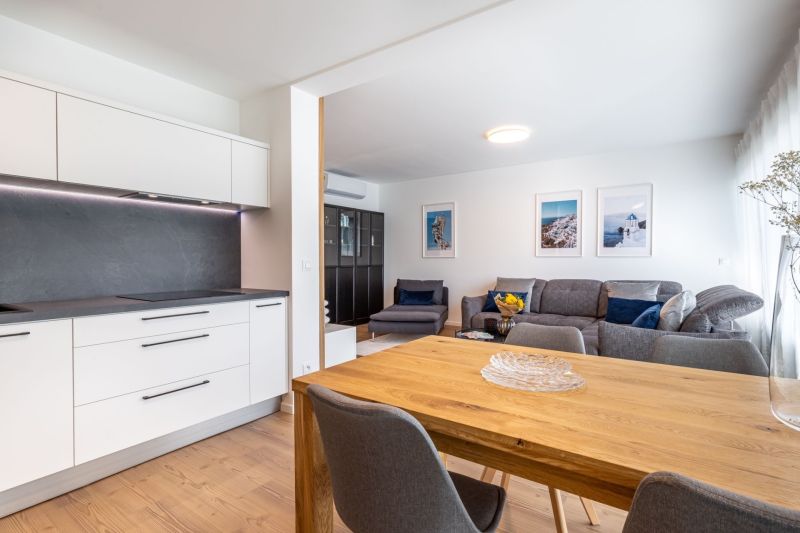 Kitchen and living room in a family house with a composite countertop and a wooden decor floor.