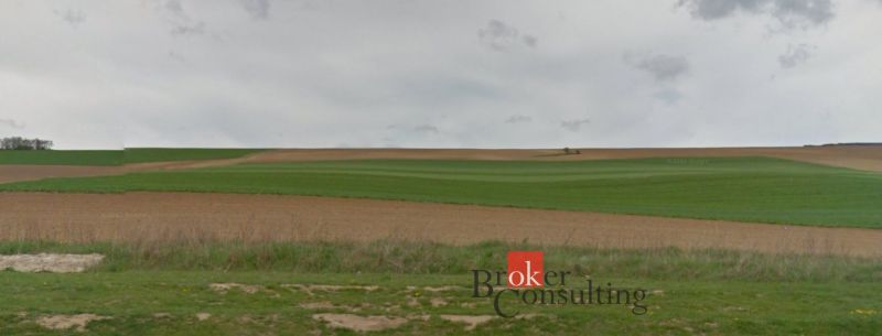 Vast green fields in Lužianky, suitable for residential plots.