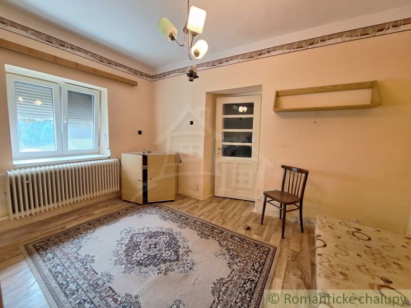 A room in a family house with a wooden decor floor, light walls, and a carpet.