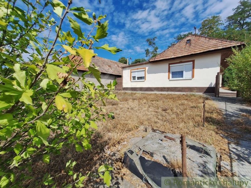 A family house in Kamenica nad Hronom with an earthen yard and greenery.