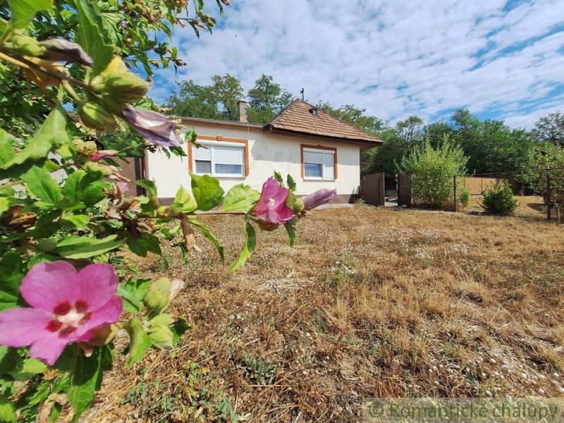 A family house in Kamenica nad Hronom, surrounded by flowers and dry grass on the property.